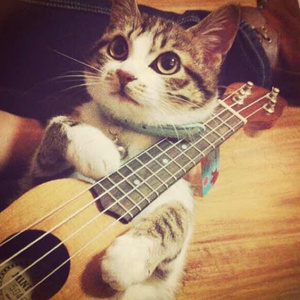 超级女教官布兰迪电影
