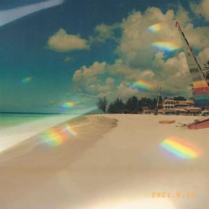 超级女教官布兰迪电影
